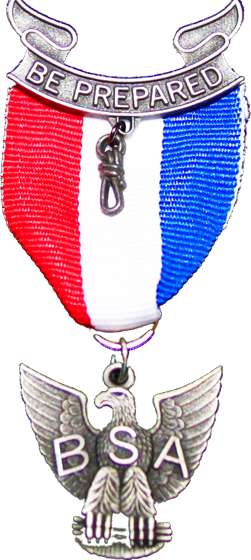 The Eagle Scout medal