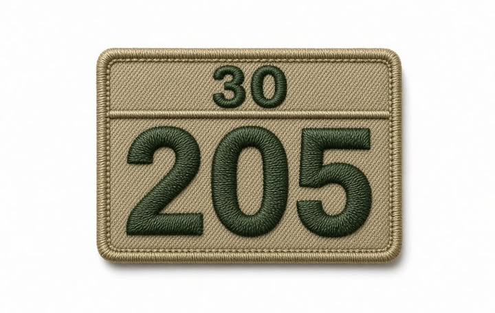 Troop 205 30th anniversary patch